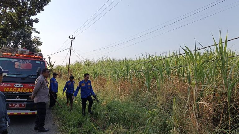 Upaya penanganan pemadaman di lahan tebu.(Ist)