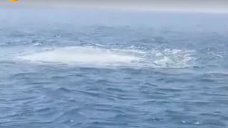 Nelayan Karawang Temukan Gelembung dan Pusaran Air Besar, Diduga Terkait Pipa Gas di Laut
