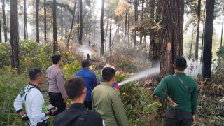 Sigap, Polsek Paguyangan Bersama Tim Gabungan Padamkan Kebakaran Hutan Pinus 