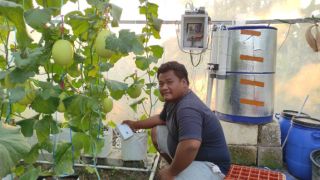 Petani Muda Demak Kembangkan Ar Farm, Teknologi yang Bikin Bertani Lebih Mudah