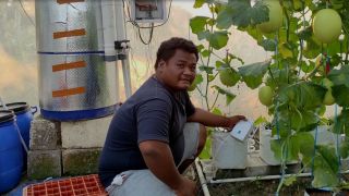 Keren! Anak Seorang Petani di Demak Ciptakan Smart Farming