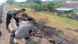 Polri Respons Cepat Kebakaran Rumput di Tol Trans Jawa, Api Berhasil Dipadamkan