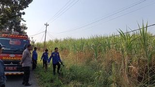Polsek Pagerbarang Gerak Cepat Tangani Kebakaran Lahan Tebu