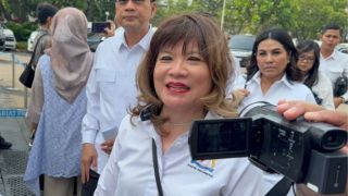 Ketum Apindo Sebut Pagar Tinggi di Sejumlah Mal Dipasang Demi Keamanan, Bukan karena Situasi Khusus