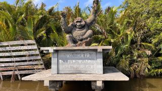Tanjung Puting, Jelajahi Sungai Sekonyer dengan Kapal Klotok