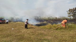 Polri Bersama Damkar dan Warga Padamkan Kebakaran Lahan Tebu di Lebaksiu