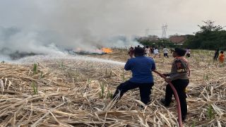 Respons Cepat Pamapta Polres Tegal Cegah Kebakaran Lahan Meluas ke Permukiman