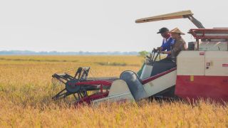 Pemprov Jateng Siapkan Asuransi 10 Ribu Hektare Sawah, Petani Terancam Puso Tak Perlu Terjerat Pinjol