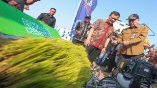 Produksi Padi Jateng Capai 6,69 Juta Ton, Pemalang Perkuat Penyangga Pangan