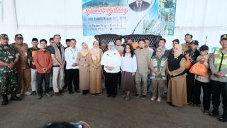 Petani Kentang Pemalang Keluhkan Sulitnya Bibit, Kemenko Pangan Siapkan Koordinasi