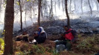 Gunung Lawu Terbakar, 3 Jalur Pendakian Ditutup: Candi Ceto hingga Cemoro Sewu