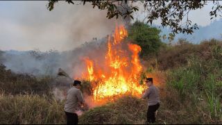 Polsek Balapulang Bersama Warga Padamkan Kebakaran Lahan Kosong