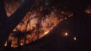Kebakaran Melalap Kawasan Hutan Bukit Pertapan Bayat Petugas Bersama Warga Berjihad Padamkan Api