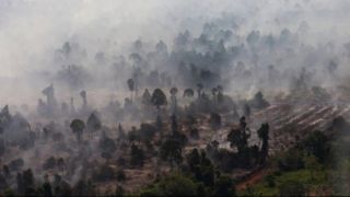 Kabut Asap Karhutla Makin Pekat, Kenali Tahapan Gangguan Pernapasan dan Cara Melindungi Diri