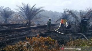 Deteksi Seratus Lebih Titik Panas, BMKG Peringatkan Potensi Kebakaran Hutan di Wilayah Aceh