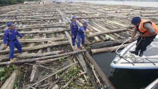 TNI AL Amankan Dua Kapal Bermuatan 8.388 Meter Kubik Kayu di Perairan Maluku