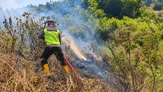 Polri Bersama TNI dan Relawan Padamkan Kebakaran Hutan Pinus Gunung Anjing